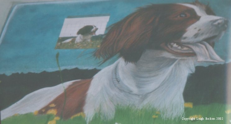 Jerry Springer Spaniel