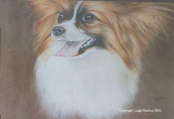 Papillon