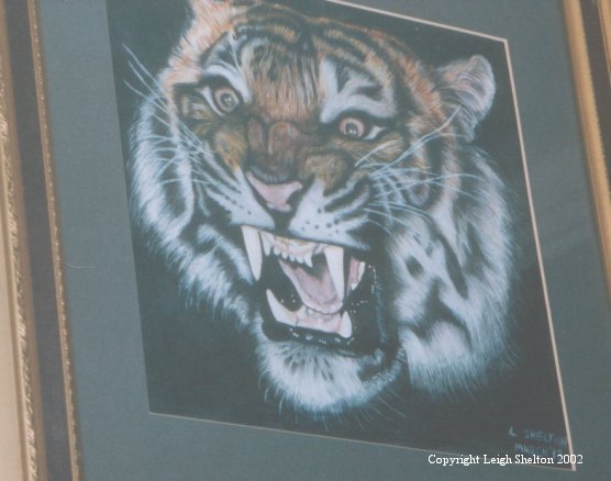 Tiger 2