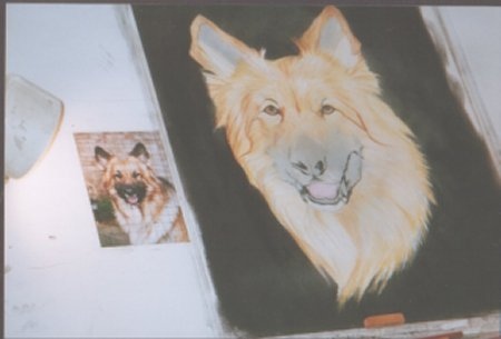 Zak - in progress
