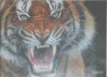 Tiger 1